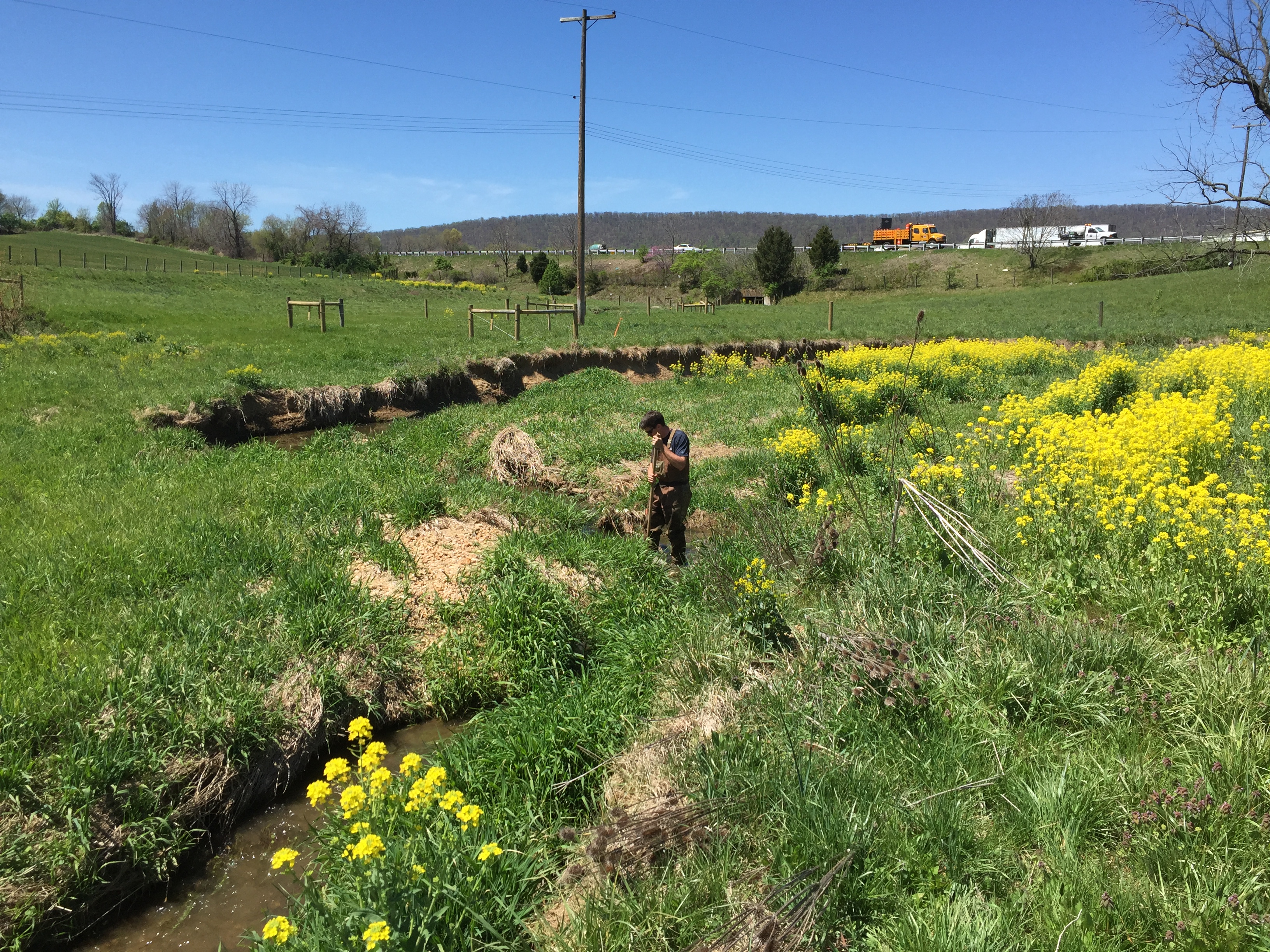 Field photo showing stream conditions at site PRFR-205-X-2016_midpoint upstream